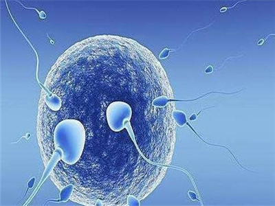 试管供卵代孕公司试管婴儿中心